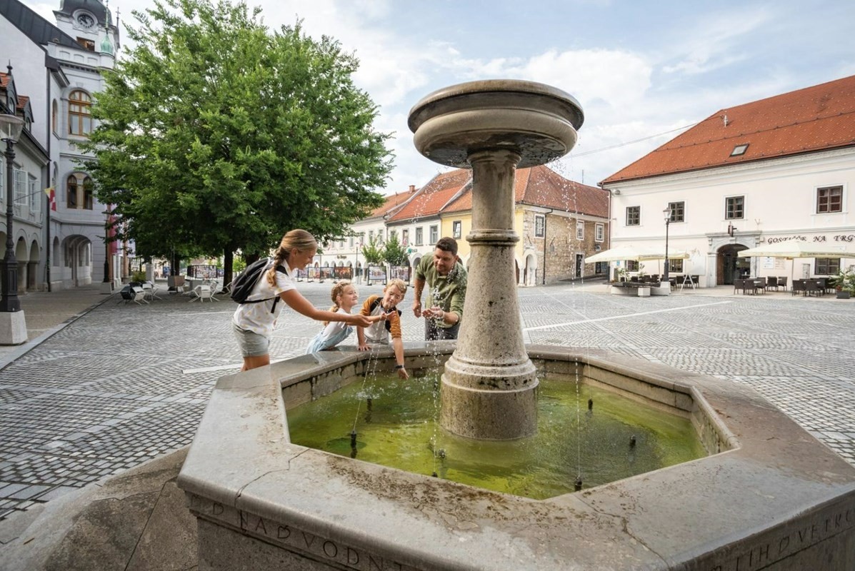 Source: Fototeka Zavod Novo mesto